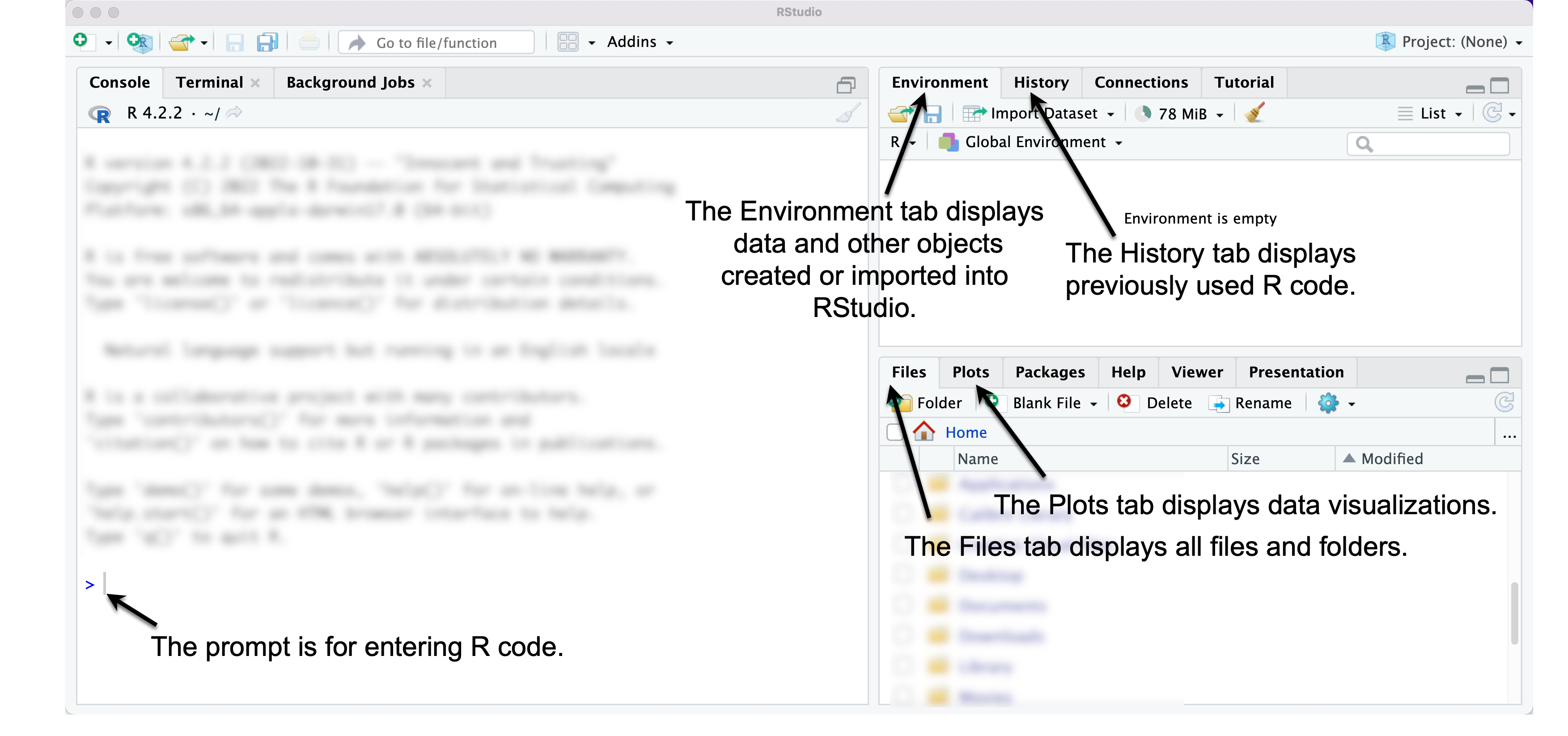 RStudio interface. The left pane displays the Console window, through which commands are entered at the > prompt. The upper right pane shows an Environment tab, which displays data loaded into RStudio. The History tab shows previously issued commands. On the lower right side, the Files tab displays all files, while the Plots tab displays data visualizations.
